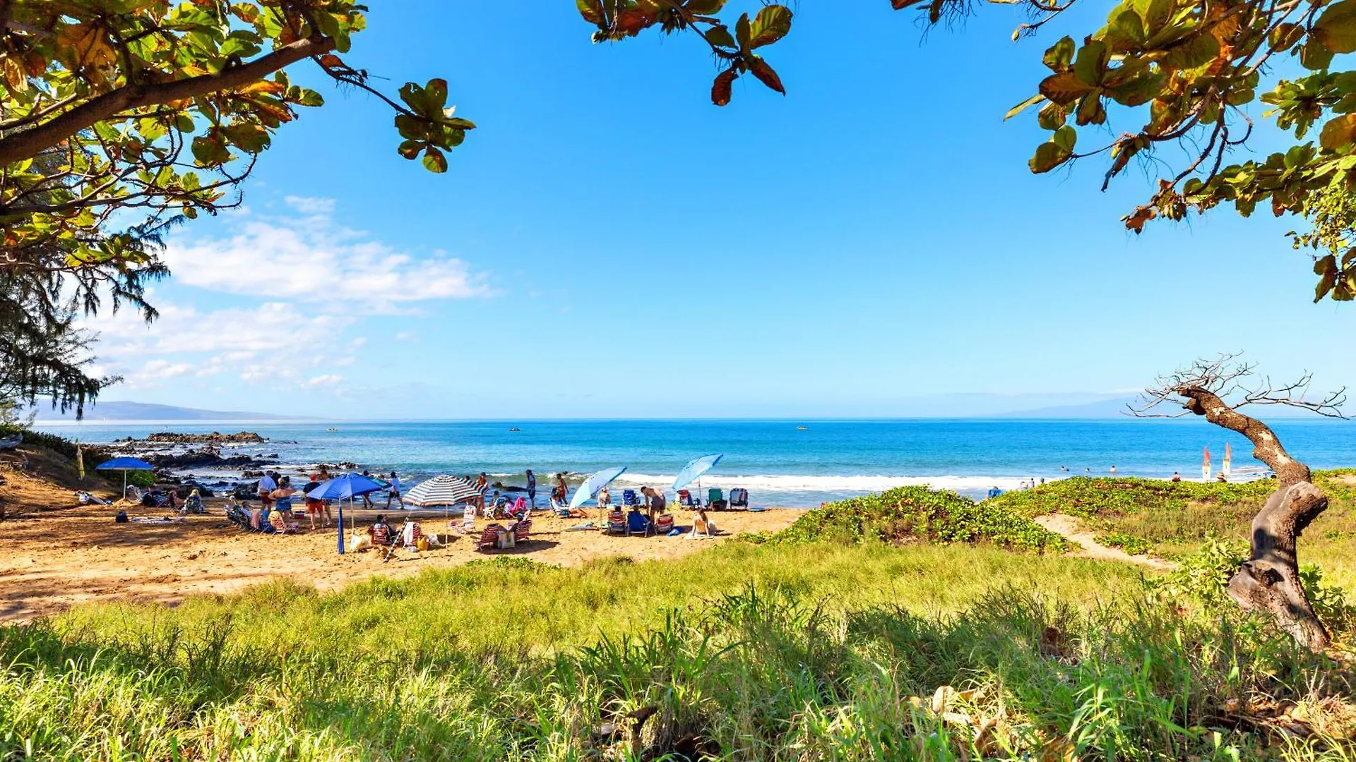 Maui Banyan P409A Villa Wailea  United States