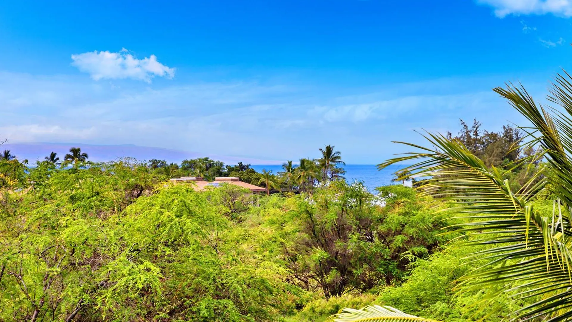 Maui Banyan P409A Villa Wailea  Wailea (Maui)