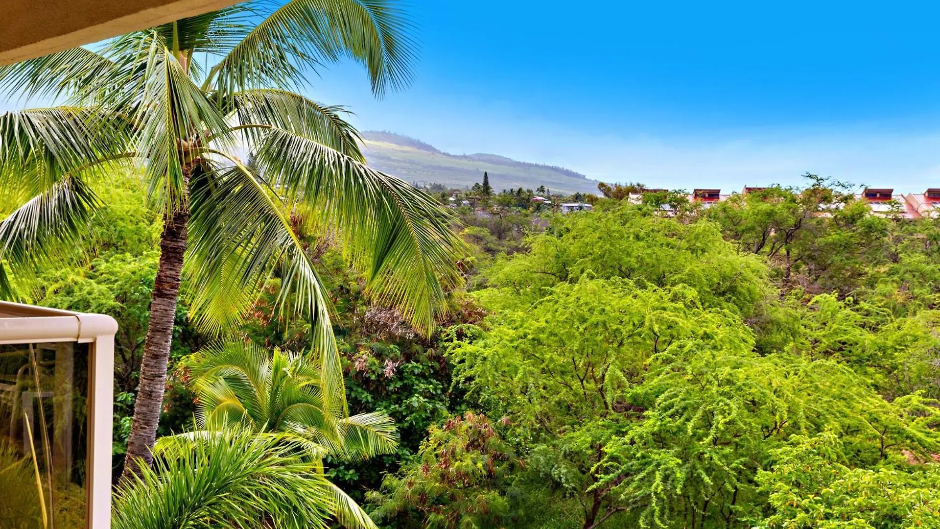 Maui Banyan P409A Villa Wailea  Holiday home